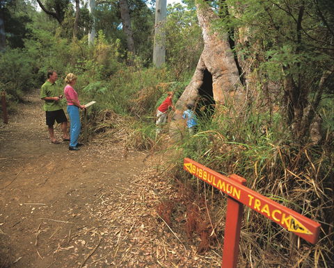 Walpole-Nornalup National Park - Broome Tourism 1