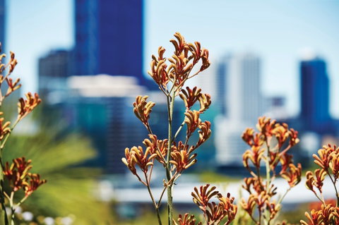 A Day In Perth - Broome Tourism 1
