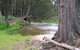 Bangadilly National Park - thumb 0