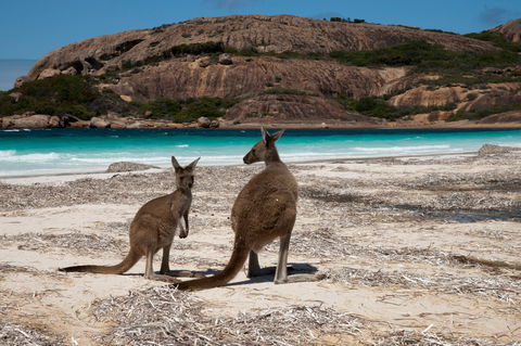 Cape Le Grand National Park - Broome Tourism 0