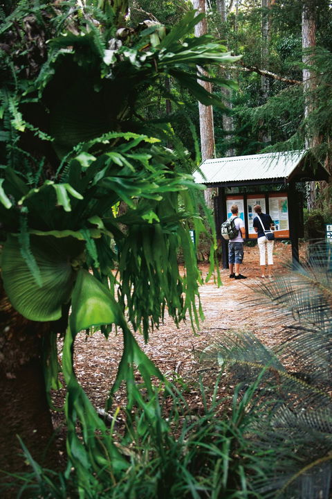 Central Station - Broome Tourism 1