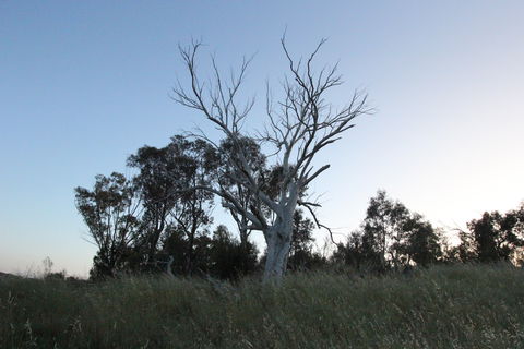 Cooleman Ridge - Broome Tourism 1