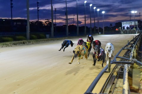 Cranbourne Greyhound Racing Club - Broome Tourism 1