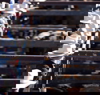 Dalby - Broome Tourism