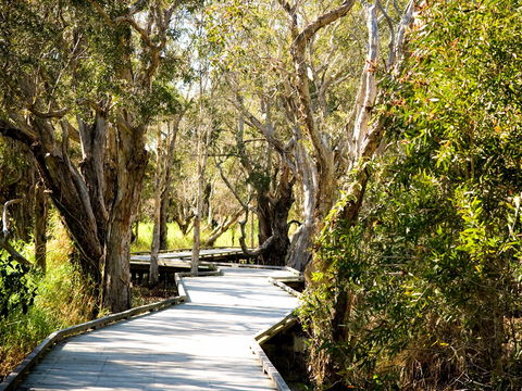 Eagleby Wetlands - Broome Tourism 1