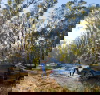 Forest Drive Murrumbidgee Valley National Park - Broome Tourism