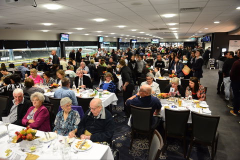 Geelong Greyhound Racing Club - The Beckley Centre - Broome Tourism 1