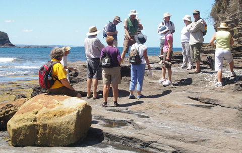 Gondwana Coast Fossil Walk - Broome Tourism 0