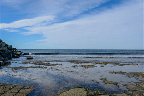 Gondwana Coast Fossil Walk - Broome Tourism 1