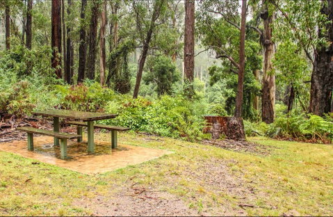 Goodenia Rainforest Picnic Area - Broome Tourism 0