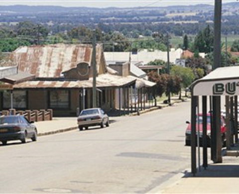 Gulgong Symbol Trail - Broome Tourism 0