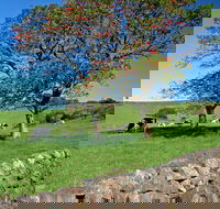Historic Dry Stone Walls Kiama - Broome Tourism