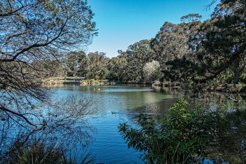 Lake Alexandra Reserve - Broome Tourism 1