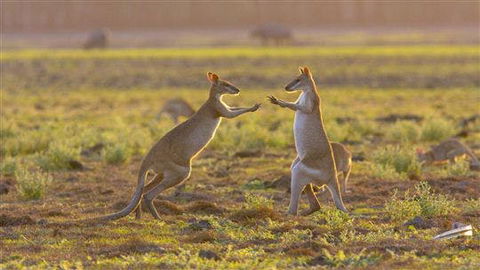 Mary River Area - Broome Tourism 0