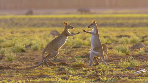 Mary River Area - Broome Tourism 1