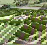 Mintaro Maze - Broome Tourism