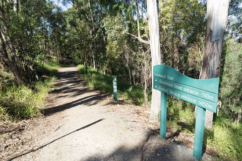 Mt Coot-tha Tourist Drive - Broome Tourism 0