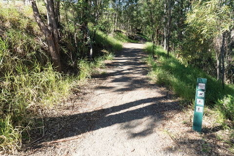 Mt Coot-tha Tourist Drive - Broome Tourism 2