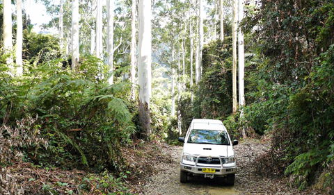 Orara Escarpment 4WD Touring Route - Broome Tourism 0