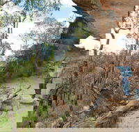 Pilliga National Park - Broome Tourism