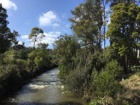 Pipers River Board Walk - Broome Tourism 1