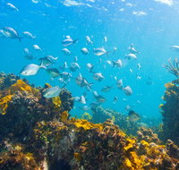 Snorkelling McKenzies Beach - Broome Tourism