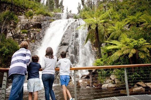 Steavenson Falls - Broome Tourism 0