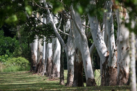 Teven Valley Golf Course - Broome Tourism 1