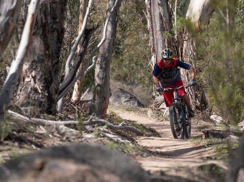 Thredbo Valley Track - Broome Tourism 2