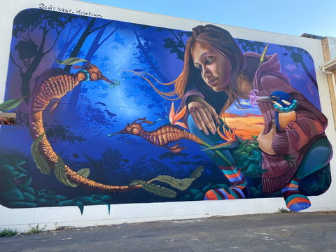 Walk The Walls Cronulla Street Art Trail - Broome Tourism 0