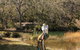 Wild Valley Art Park - thumb 0