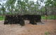 WWII Quarantine Anti Aircraft Battery Site - thumb 2