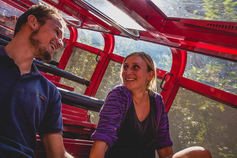 Blue Mountains Hop-on Hop-off Tour With Optional Scenic World Rides - Broome Tourism 6