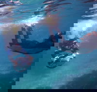 Small-Group Underwater Scooter Experience in Clovelly - Broome Tourism
