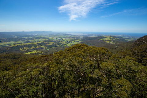 Illawarra Fly Treetop Adventures Treetop Walk Admission Ticket - Broome Tourism 6