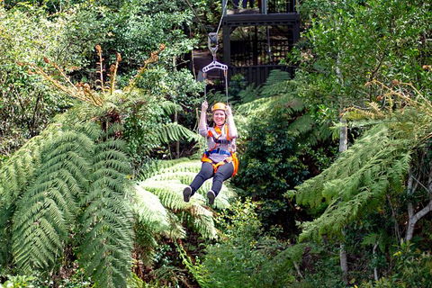 Illawarra Fly Treetop Adventures Treetop Walk Admission Ticket - Broome Tourism 2