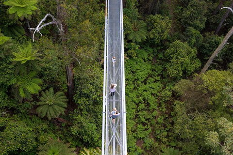 Illawarra Fly Treetop Adventures Treetop Walk Admission Ticket - Broome Tourism 4