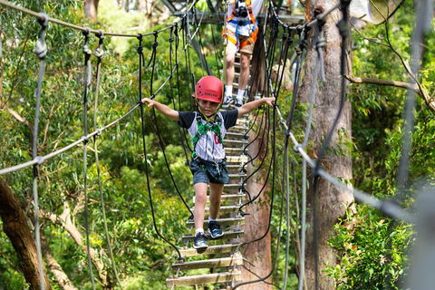 Illawarra Fly Treetop Adventures Treetop Walk Admission Ticket - Broome Tourism 3