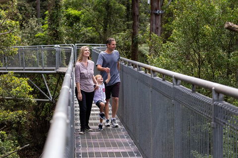 Illawarra Fly Treetop Adventures Treetop Walk Admission Ticket - Broome Tourism 1