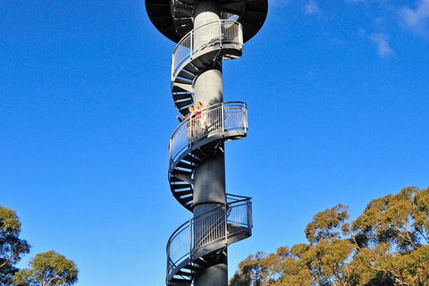 Illawarra Fly Treetop Adventures Treetop Walk Admission Ticket - Broome Tourism 5
