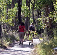 Forest Path Crooked Brook - Broome Tourism