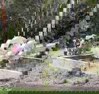 Maroochy Regional Bushland Botanic Garden - Broome Tourism