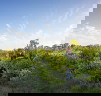 Mclaren Vale - Broome Tourism