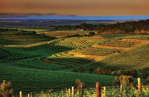 Mclaren Vale - Broome Tourism 1