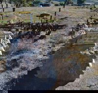 Wangaraleednie Monument  Ruins - Broome Tourism