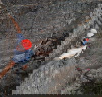 Small-Group Weekend Rock Climbing Adventure from Katoomba - Broome Tourism