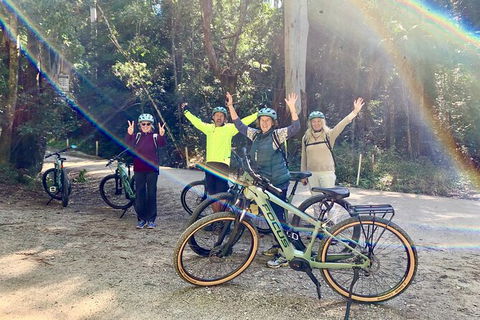 Guided E Bike Tour - Unicorn Falls & National Park - Broome Tourism 3