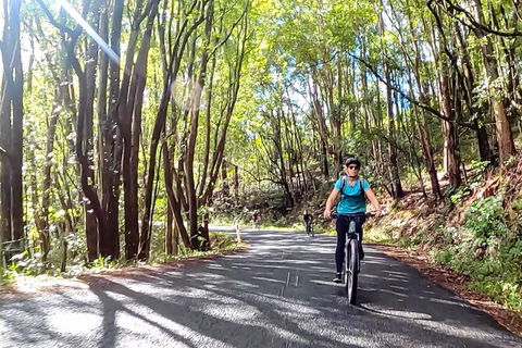 Guided E Bike Tour - Unicorn Falls & National Park - Broome Tourism 16