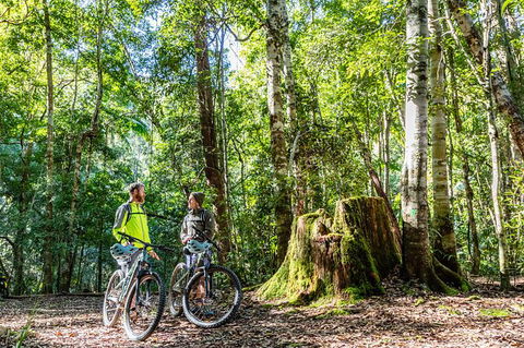 Guided E Bike Tour - Unicorn Falls & National Park - Broome Tourism 14