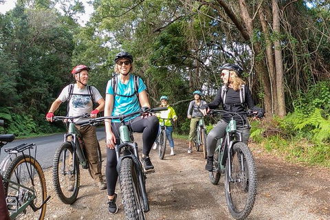 Guided E Bike Tour - Unicorn Falls & National Park - Broome Tourism 11